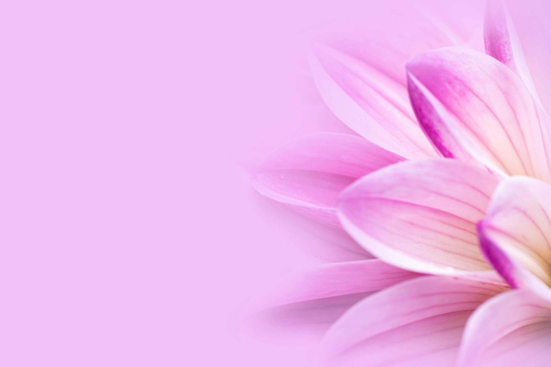 Femeie zâmbitoare într-un moment de relaxare